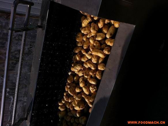 ������ϴȥƤ�C