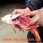 ȫ�ԄӚ��~�C(j��)