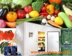 �߲˹Ϲ� ���N���е͜����(k��)