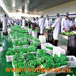 ȫ�Ԅ�������հ��b�C�r��